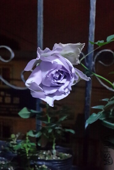 QQͼƬ20141012140531.jpg