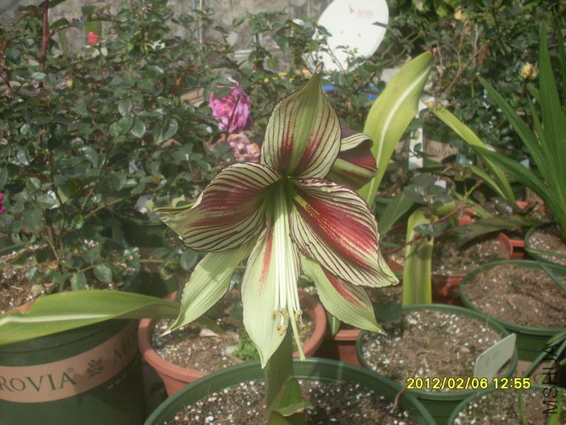 SDC10400_nEO_IMG.jpg