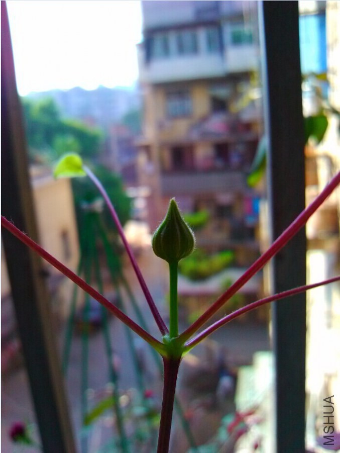 QQͼƬ20141012193245.jpg