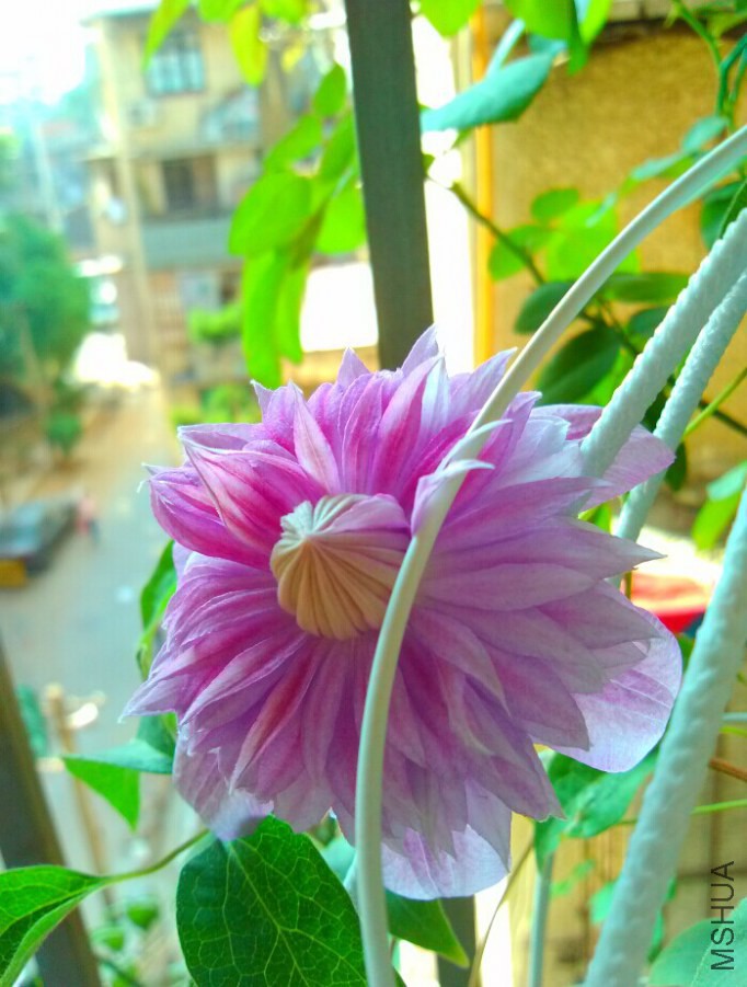 QQͼƬ20141012193300.jpg