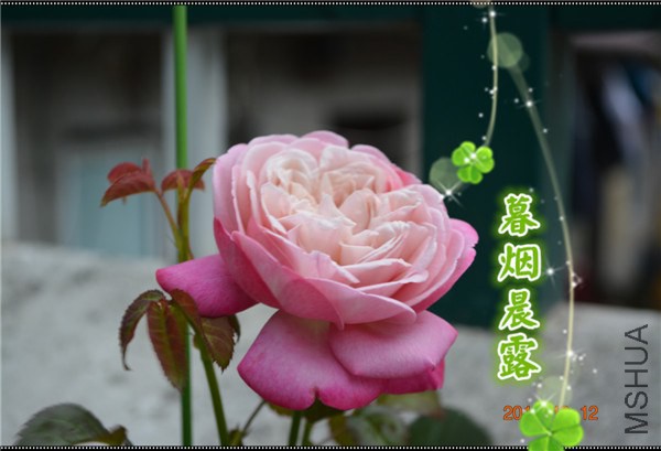 DSC_1174_����.jpg