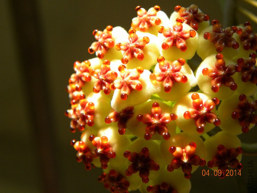 DSCN2587.jpg