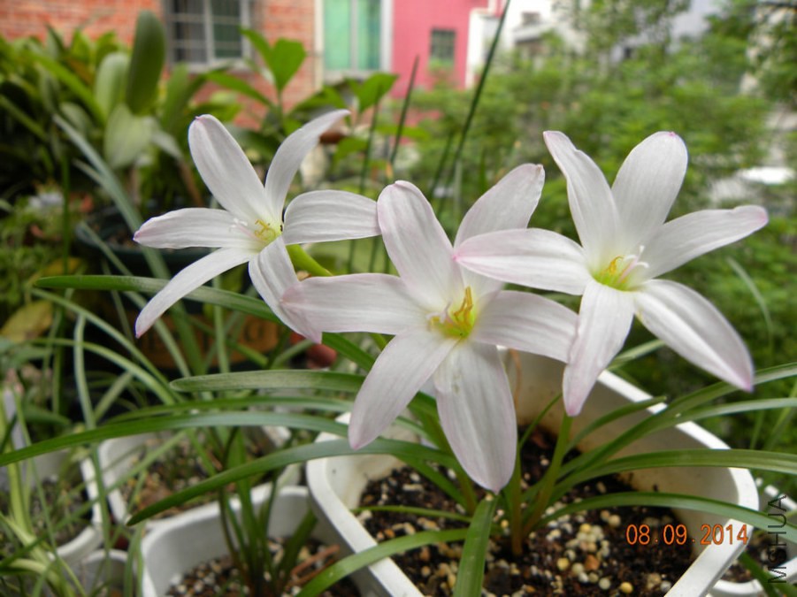 DSCN2593.jpg