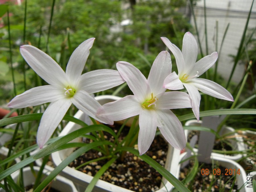 DSCN2591.jpg