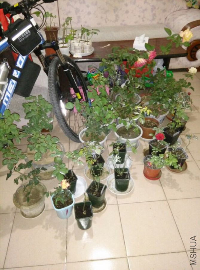 QQͼƬ20141012225332.jpg