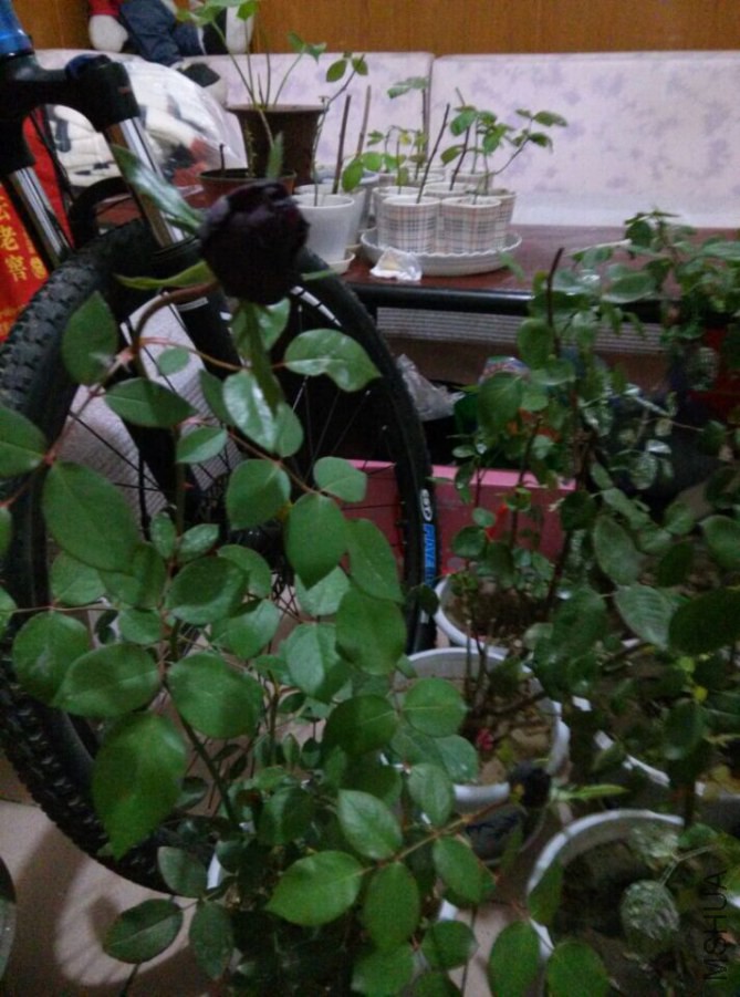 QQͼƬ20141012225343.jpg