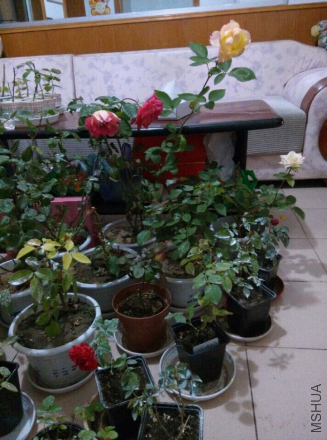 QQͼƬ20141012225350.jpg