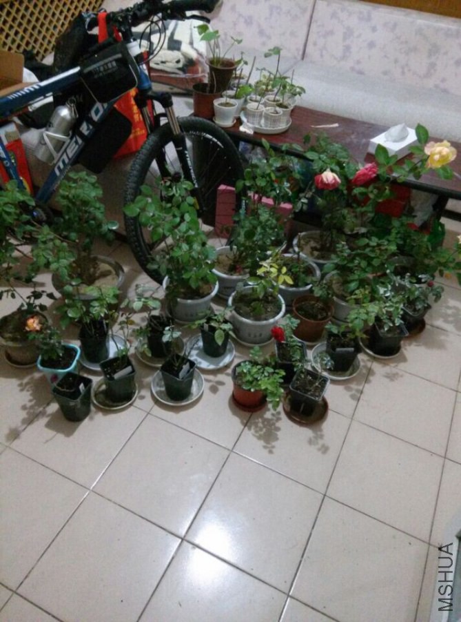 QQͼƬ20141012225357.jpg