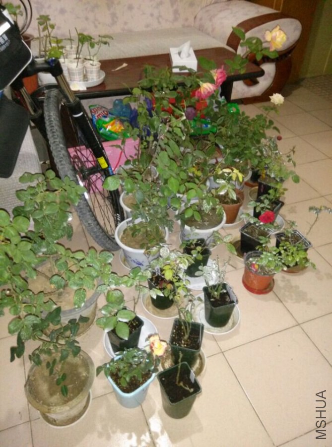 QQͼƬ20141012225412.jpg