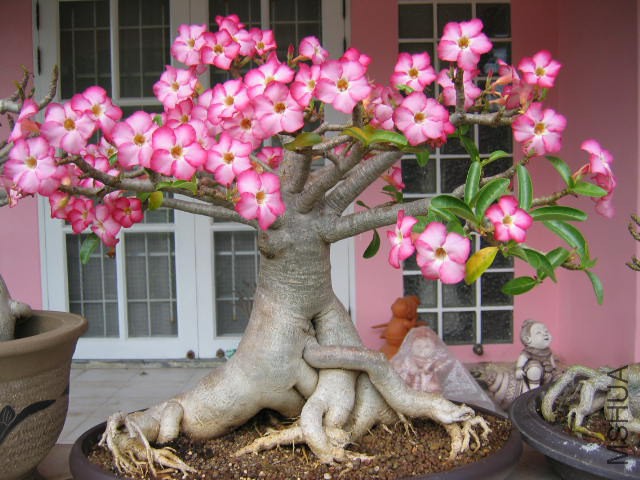 20110817143644511.jpg