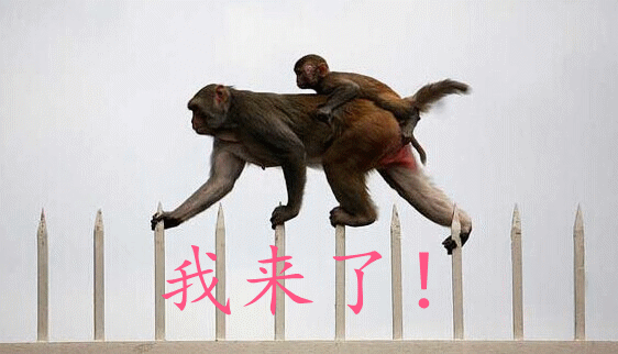 QQͼƬ20141013023808_����.gif
