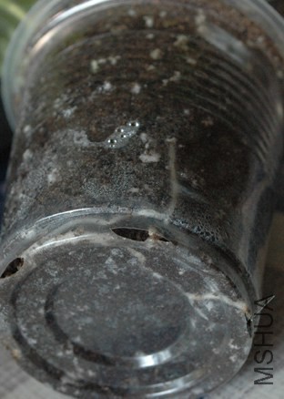 DSC_5406.JPG