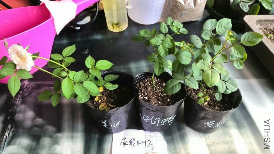 QQͼƬ20141013095926.jpg
