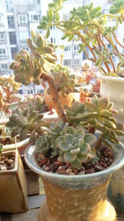 QQͼƬ20141013131845.jpg