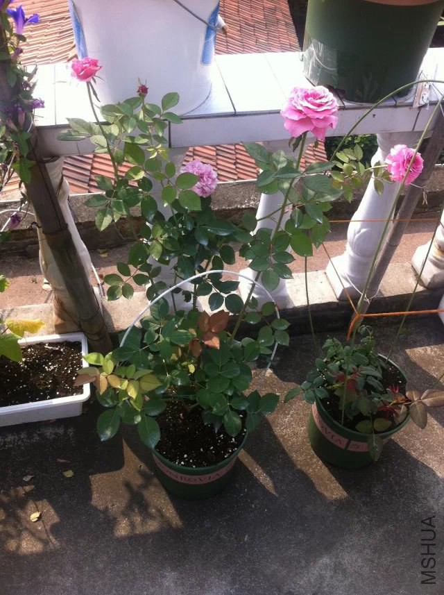 QQͼƬ20141011165808.jpg