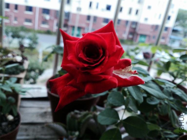 QQͼƬ20141013151822.jpg