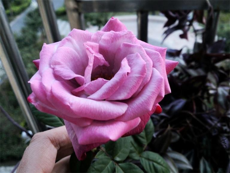 QQͼƬ20141013151614.jpg