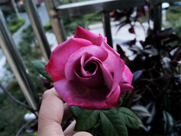 QQͼƬ20141013151625.jpg