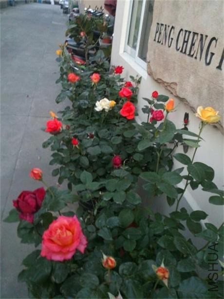 QQͼƬ20140508094058.jpg