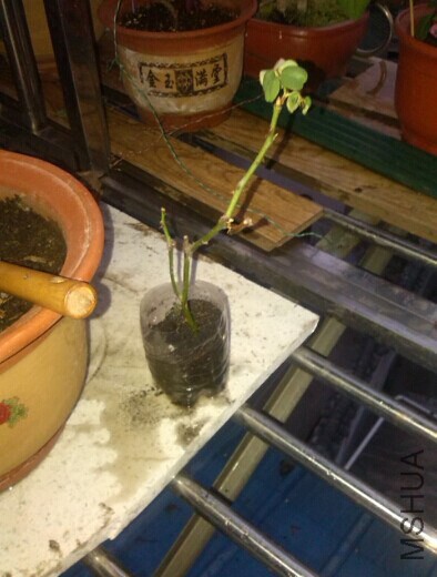 QQͼƬ20141013181245.jpg