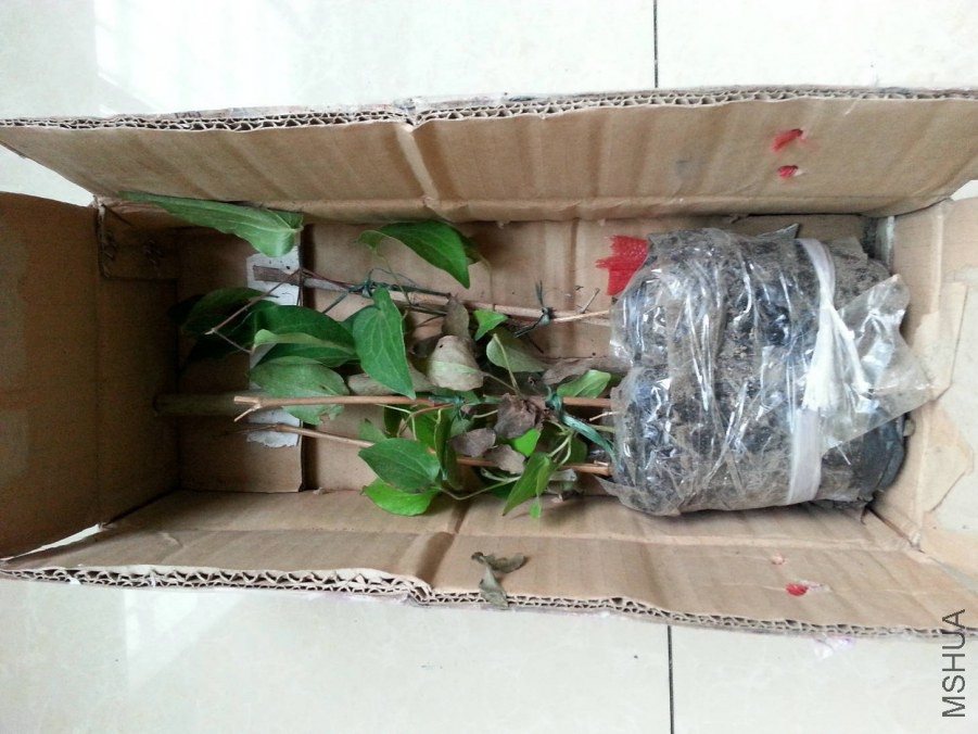 20141013_172235.jpg