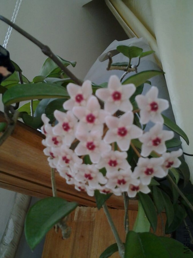 QQͼƬ20140523155907.jpg
