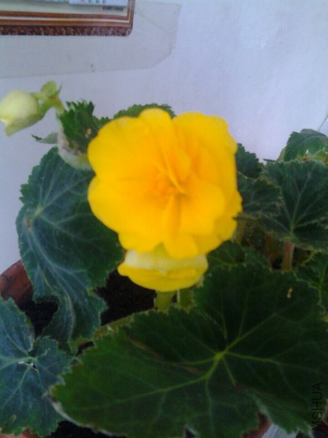 QQͼƬ20141014082511.jpg