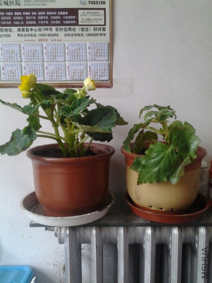 QQͼƬ20141014082609.jpg