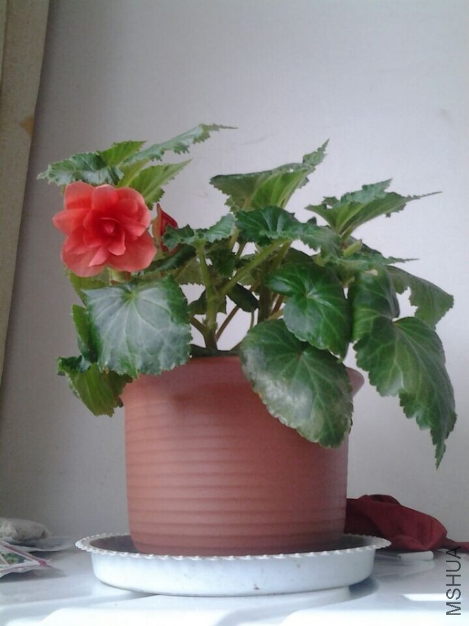 QQͼƬ20140910153033.jpg