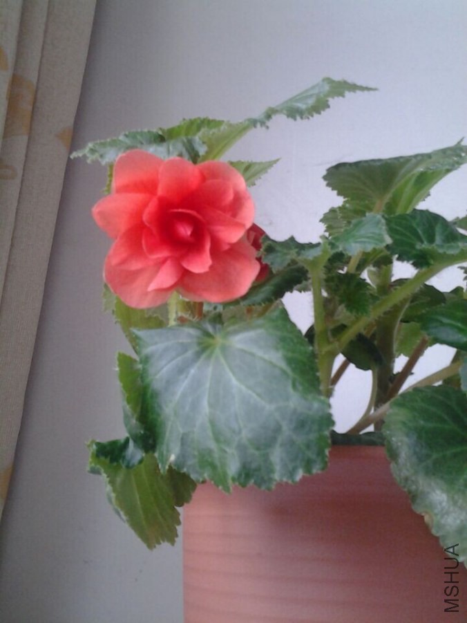 QQͼƬ20140910153038.jpg