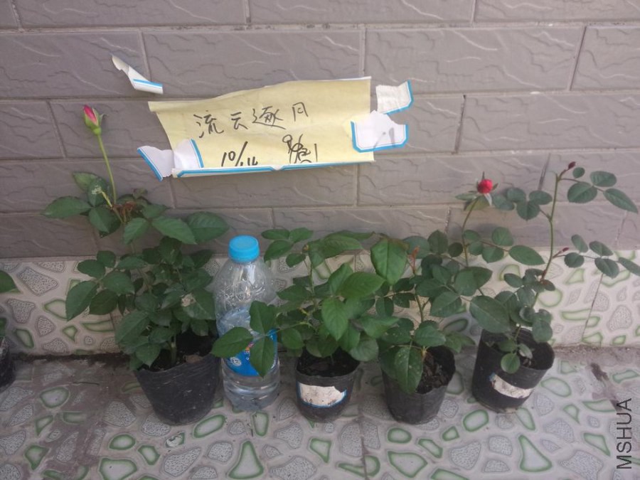 �췽+����+ͭ���ֶ�+�⻷
