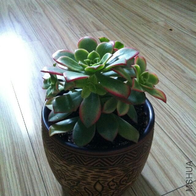 QQͼƬ20141011110536.jpg
