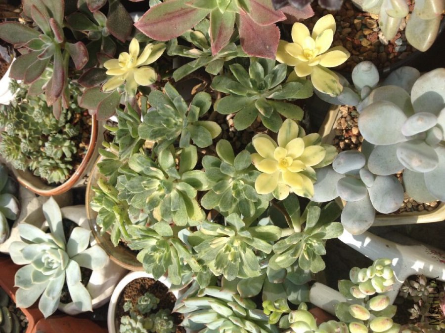 QQͼƬ20141013085255.jpg