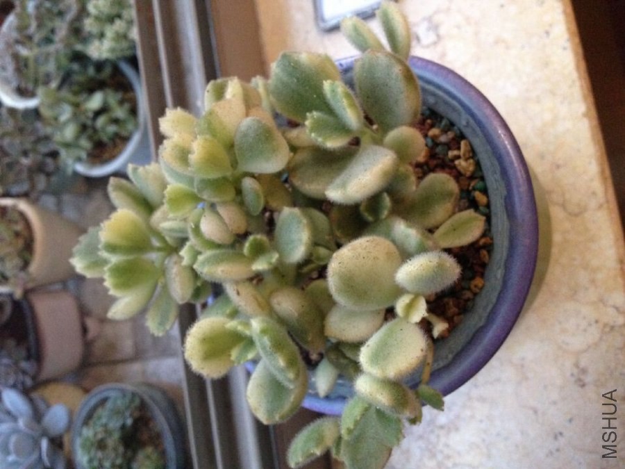QQͼƬ20141011085017.jpg