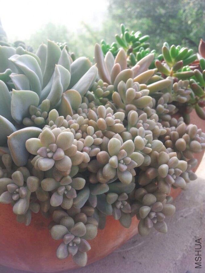 QQͼƬ20141011084910.jpg