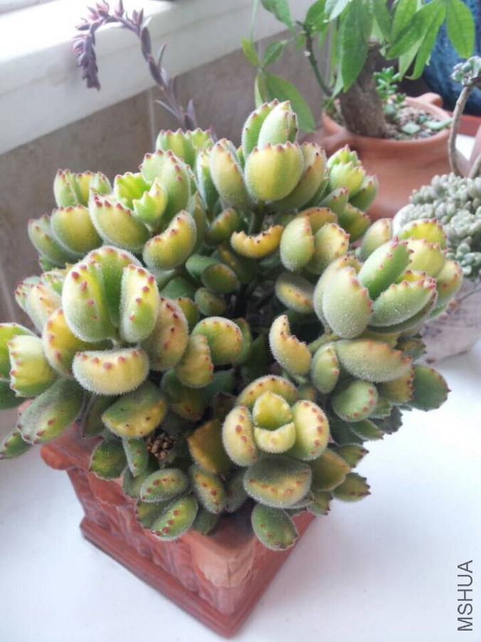 QQͼƬ20141011084826.jpg