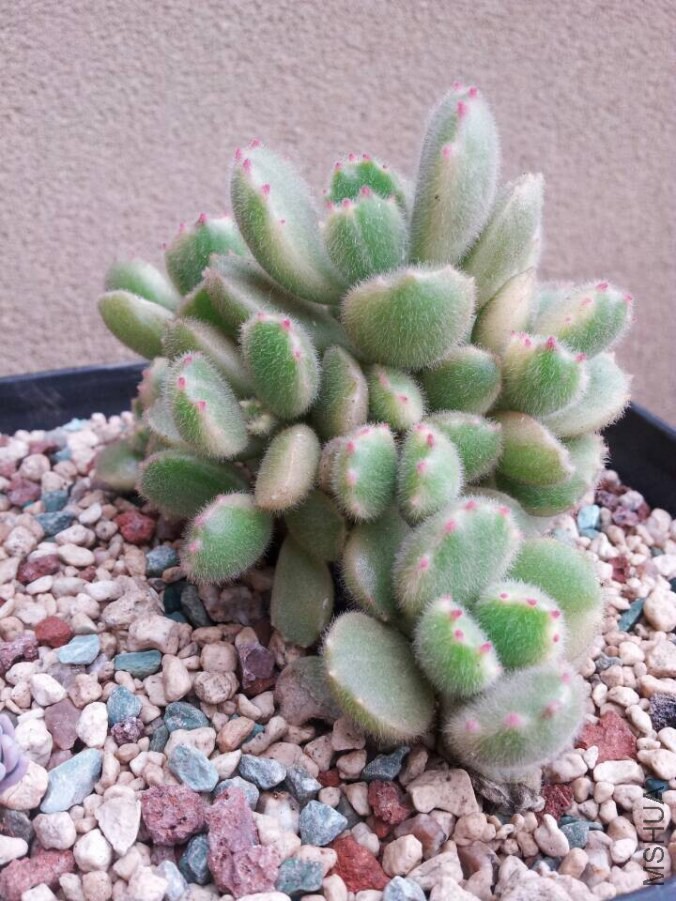QQͼƬ20141011084837.jpg