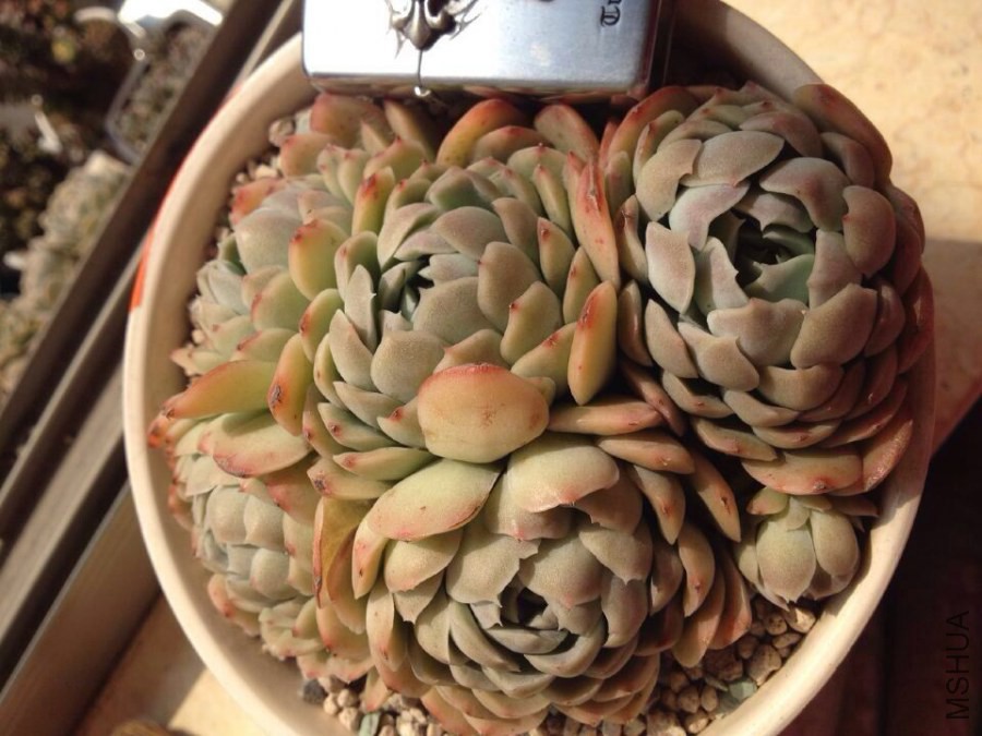 QQͼƬ20141013085259.jpg