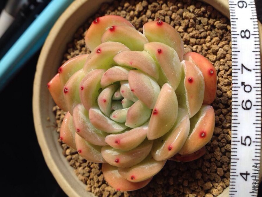 QQͼƬ20141013085344.jpg