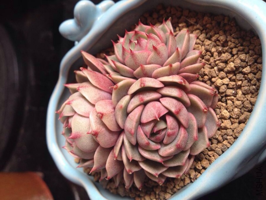 QQͼƬ20141013085351.jpg