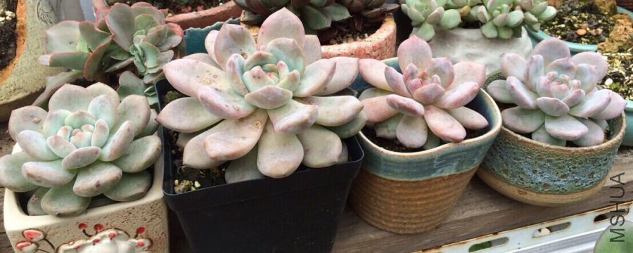 QQͼƬ20141013085608.jpg