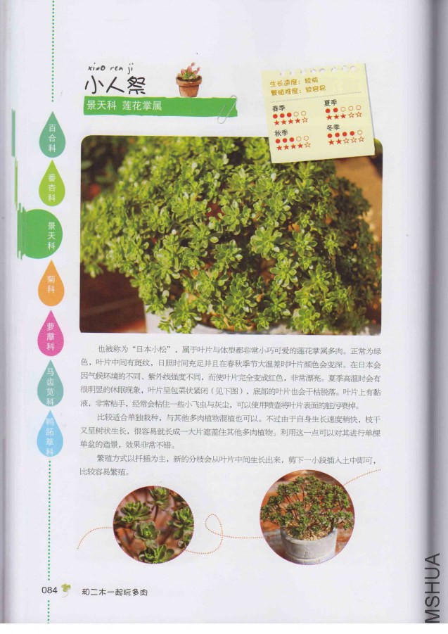 �Ͷ�ľһ�������_ҳ��_092.jpg