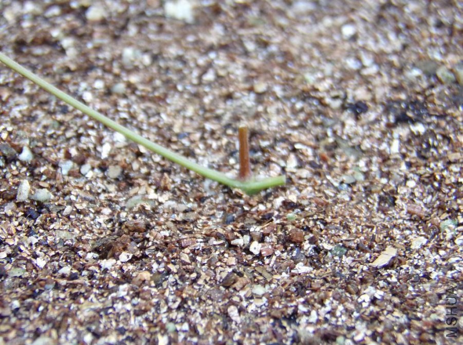 QQ��ͼ20141014155830.jpg