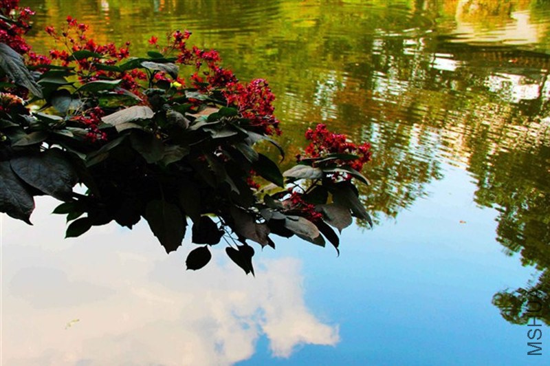 psb (44)_����.jpg