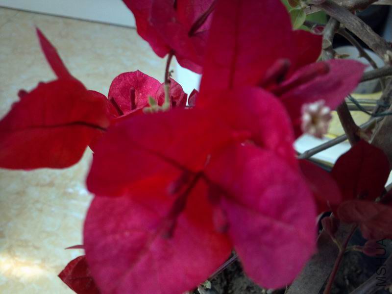 ������С 2014-03-09_12-22-54_556.jpg