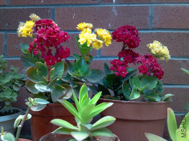 ������С 2013-05-18_13-06-17_377.jpg