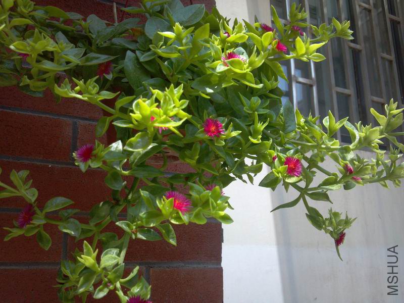 ������С 2014-05-21_12-39-33_197.jpg