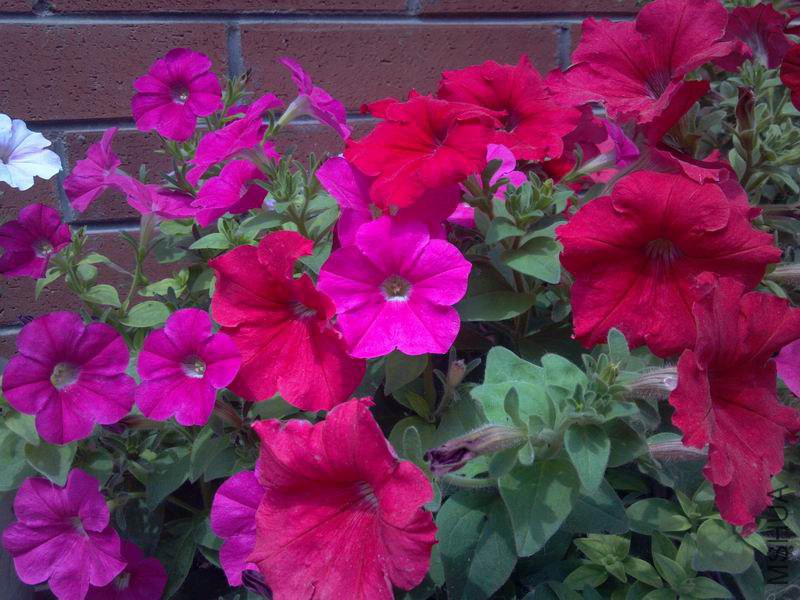 ������С 2014-05-14_13-22-40_523.jpg