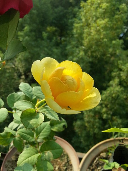 ���
