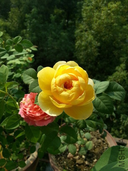 20141015_095614_��С��С.jpg